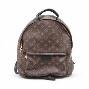 Louis Vuitton Monogram Palm Springs MM Backpack